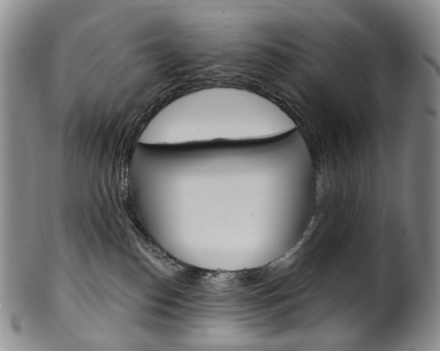 X0000101650186200807100948