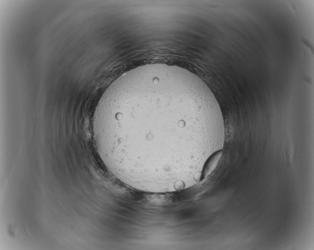 X0000101650187200807100948
