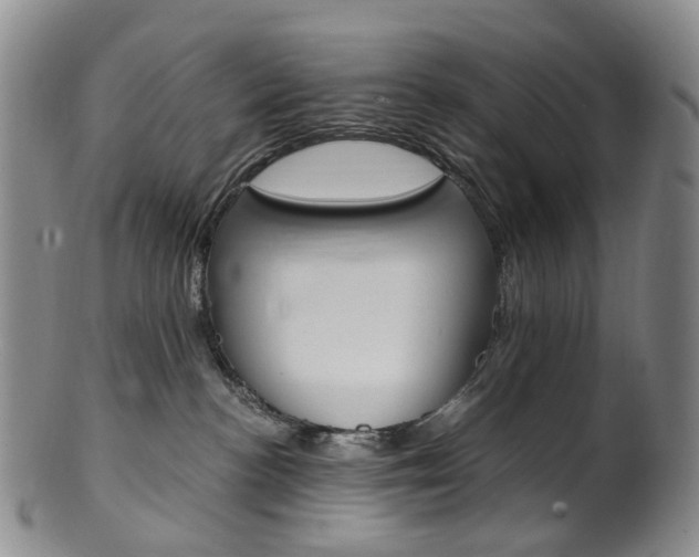 X0000101650188200807100948