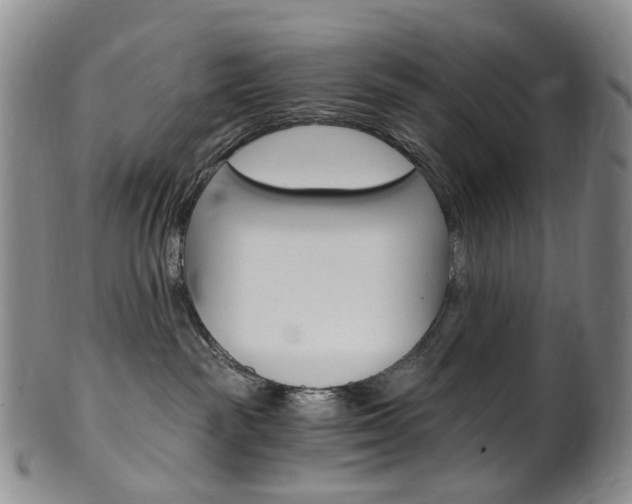 X0000101650189200807100948