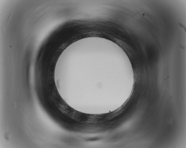 X0000101650190200807100948