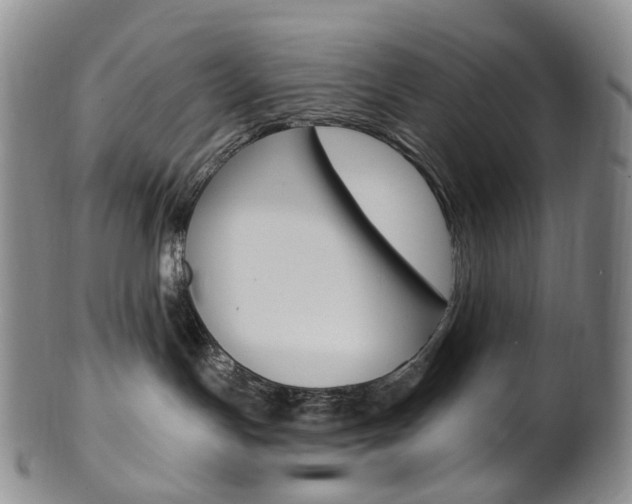 X0000101650191200807100948