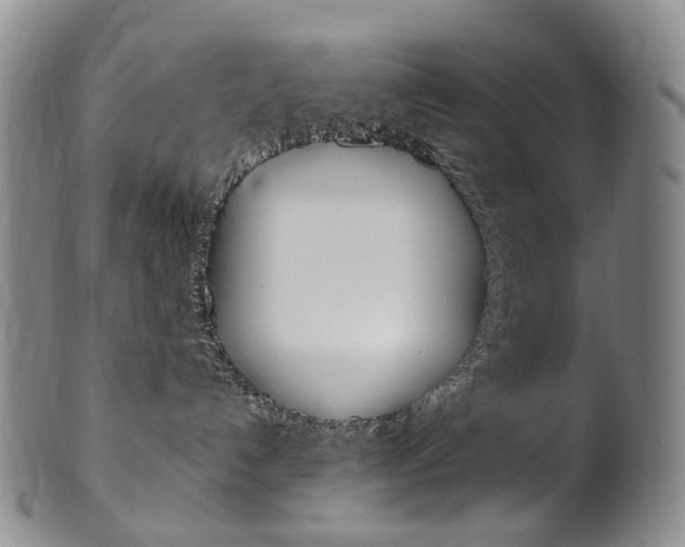 X0000101650192200807100948