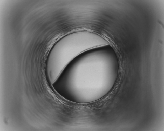 X0000101650193200807100948