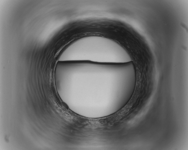 X0000101650194200807100948