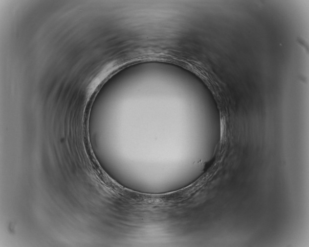 X0000101650195200807100948