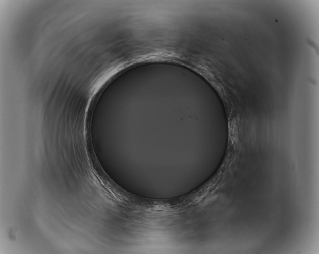 X0000101650196200807100948
