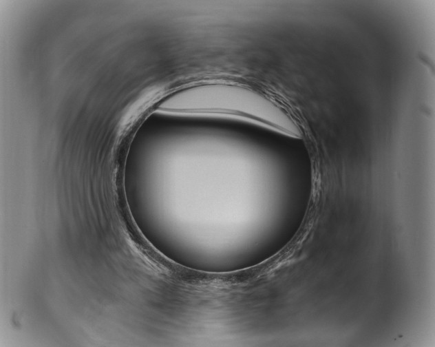 X0000101650197200807100948
