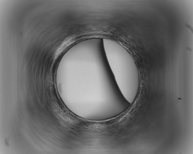 X0000101650198200807100948