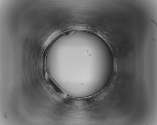 X0000101650199200807100948