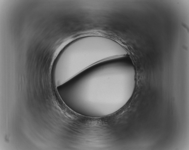 X0000101650200200807100948