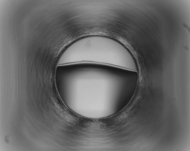 X0000101650201200807100948