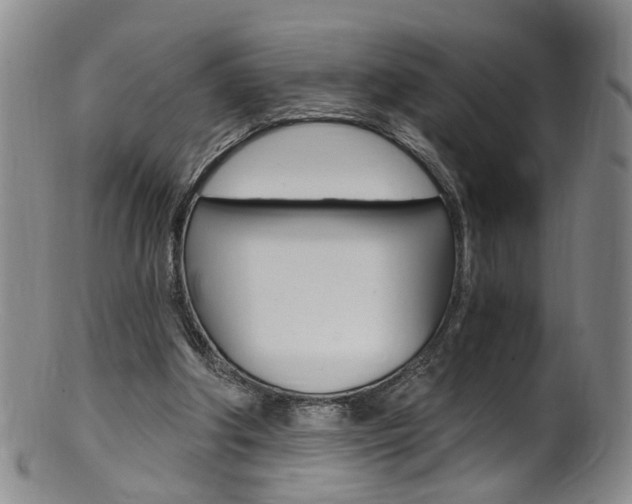X0000101650202200807100948
