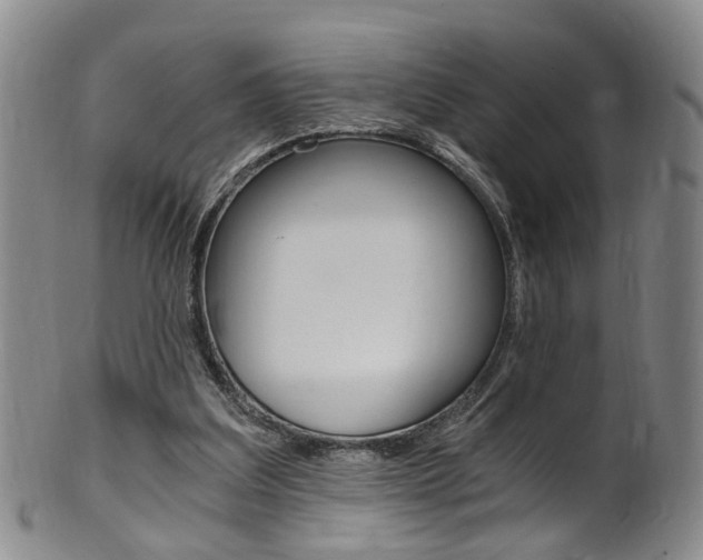 X0000101650203200807100948