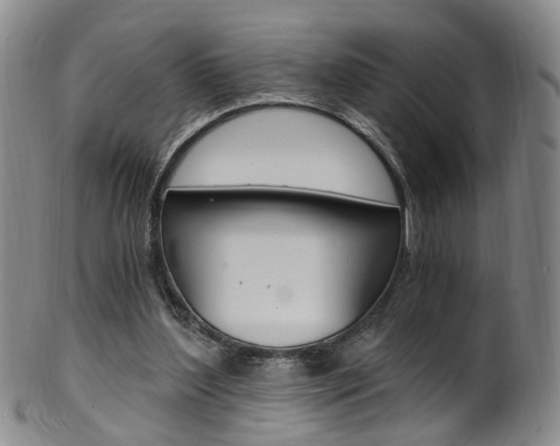 X0000101650204200807100948