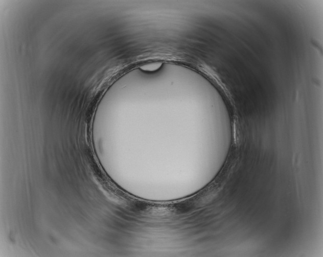 X0000101650205200807100948