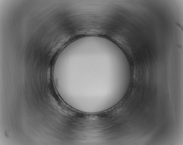 X0000101650206200807100948