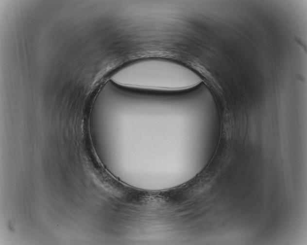 X0000101650207200807100948