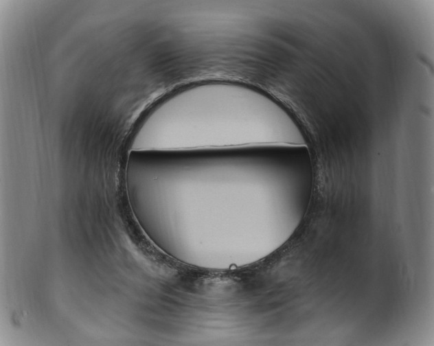 X0000101650208200807100948