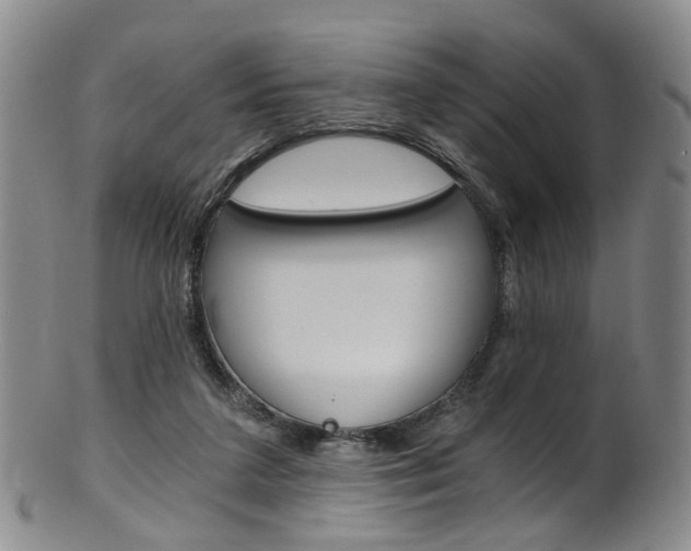 X0000101650211200807100948