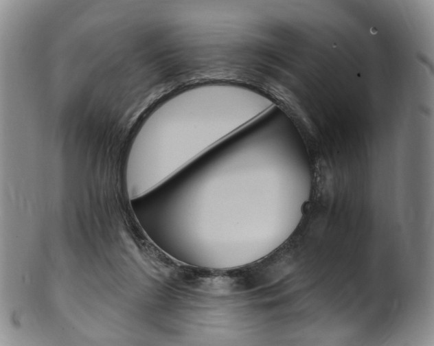 X0000101650212200807100948