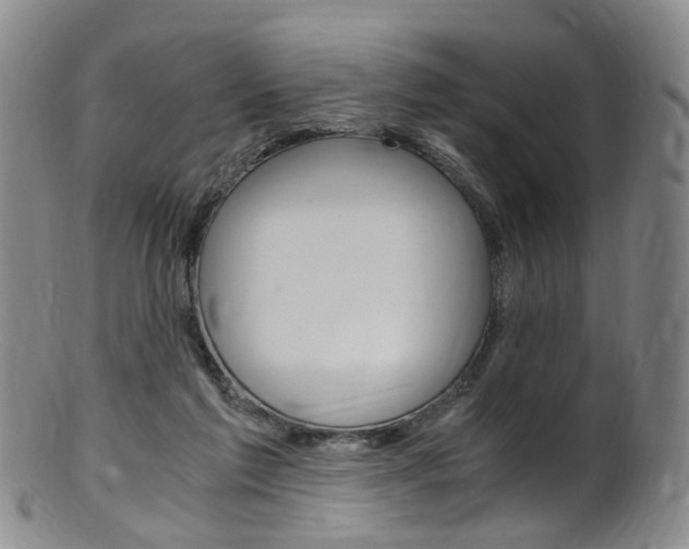 X0000101650213200807100947