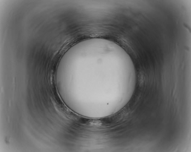 X0000101650214200807100947