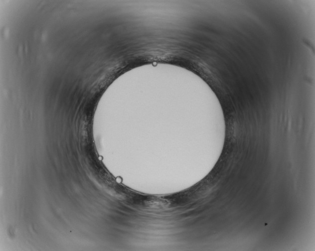 X0000101650215200807100947