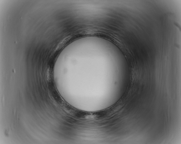 X0000101650216200807100947