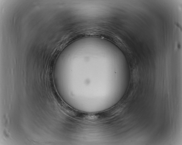 X0000101650217200807100947