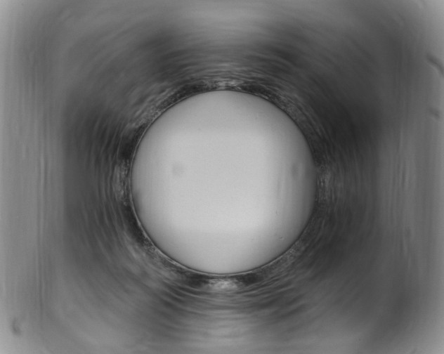 X0000101650218200807100947