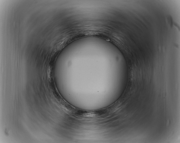 X0000101650219200807100947