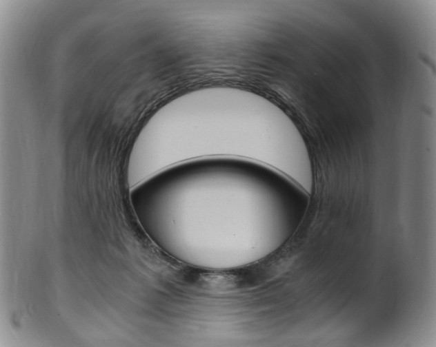X0000101650221200807100947
