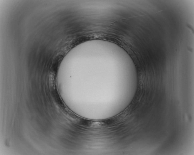 X0000101650222200807100947