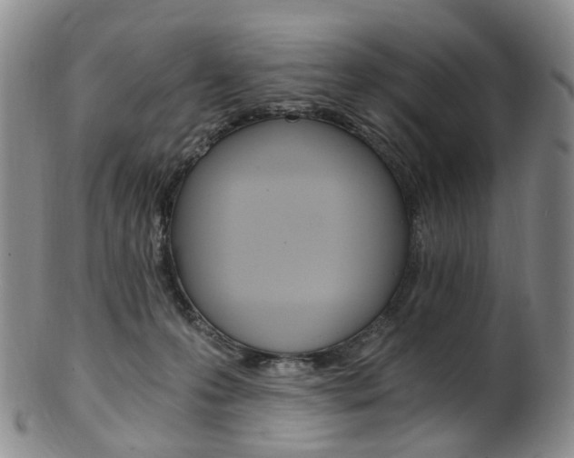 X0000101650223200807100947