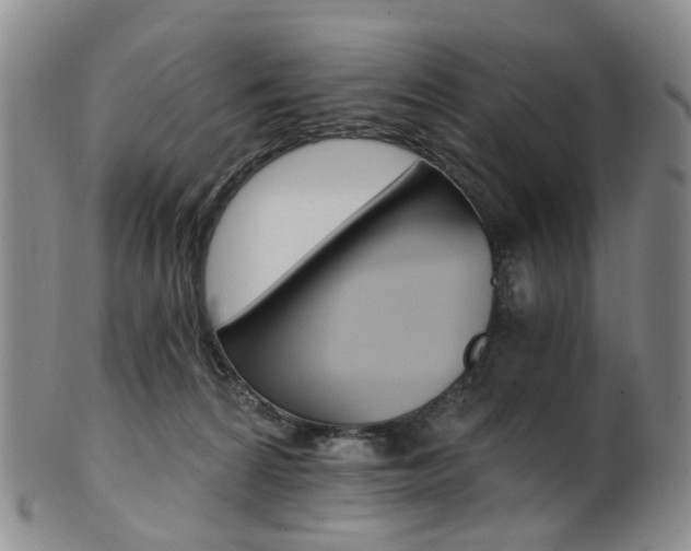 X0000101650224200807100947