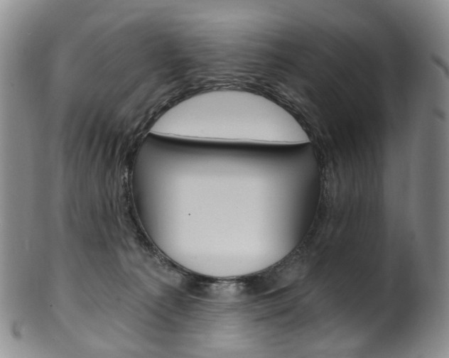 X0000101650225200807100947