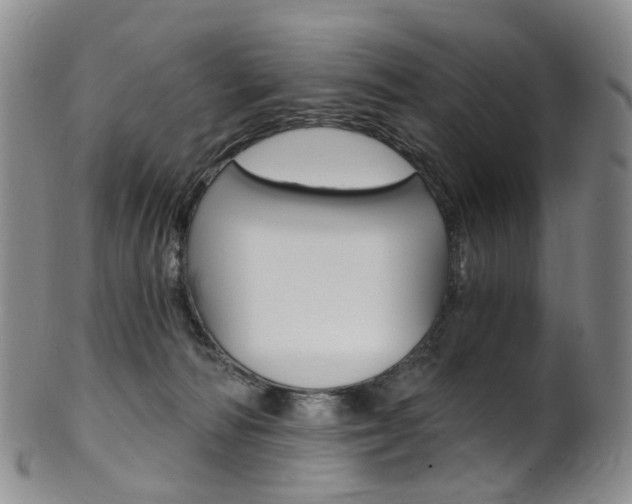 X0000101650226200807100947