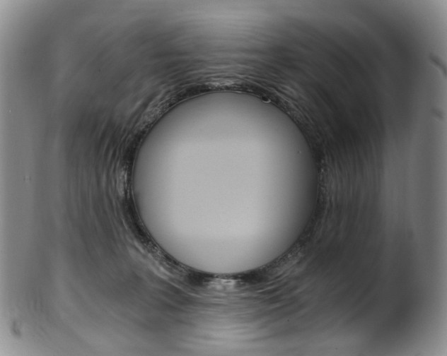 X0000101650227200807100947