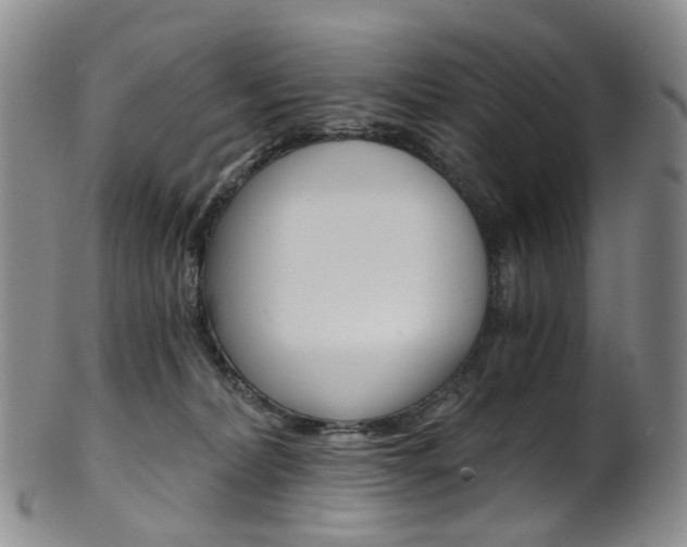 X0000101650228200807100947