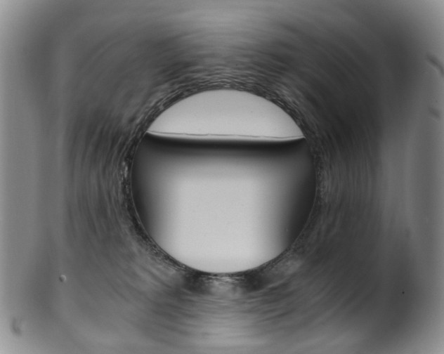 X0000101650229200807100947
