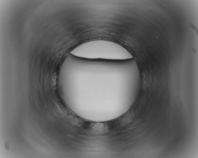 X0000101650230200807100947