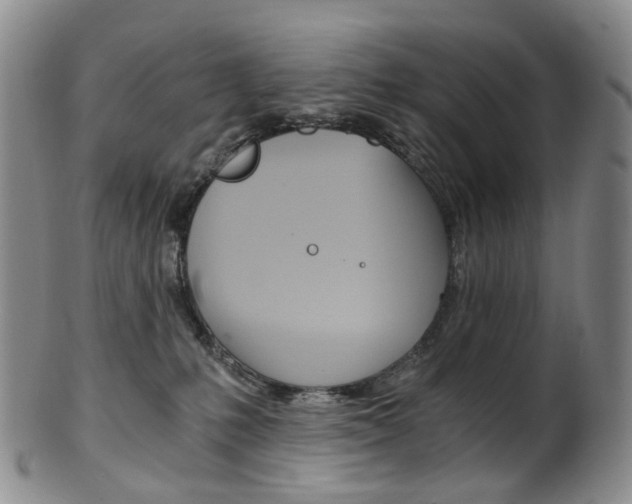 X0000101650231200807100947