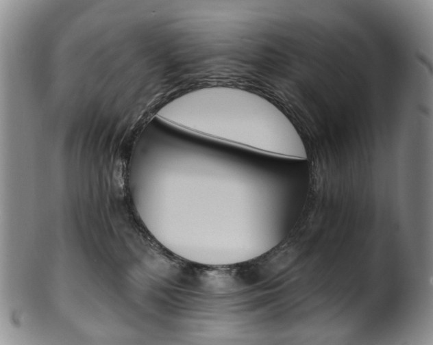 X0000101650232200807100947