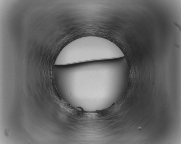 X0000101650233200807100947