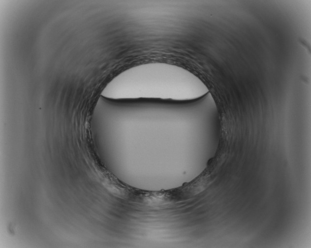X0000101650235200807100947
