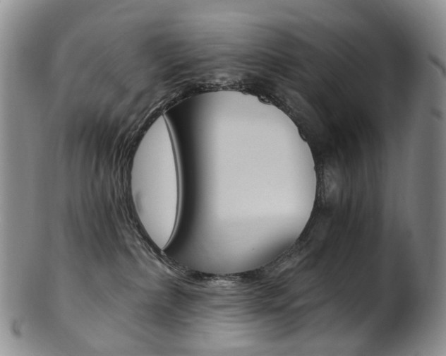X0000101650236200807100947