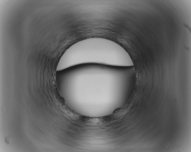 X0000101650237200807100947