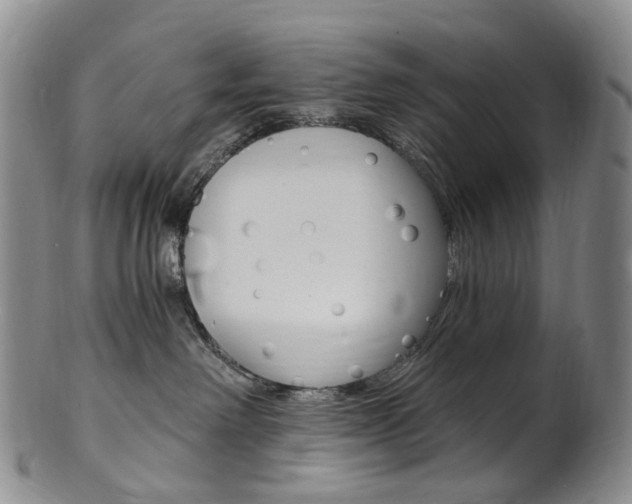 X0000101650238200807100947