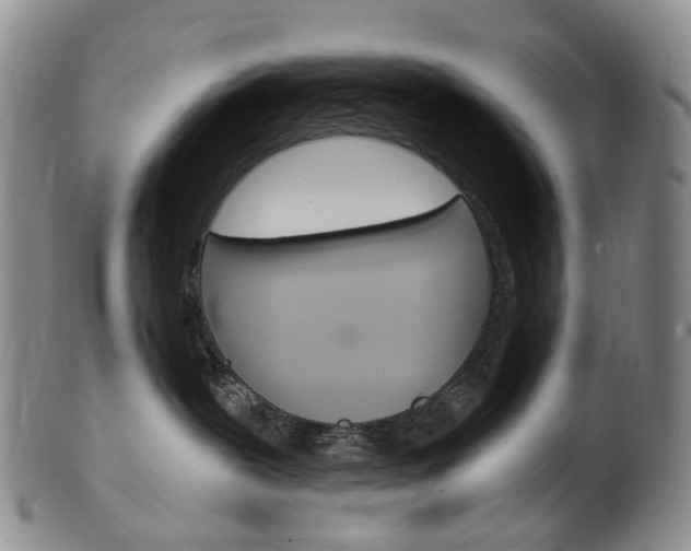 X0000101650239200807100947